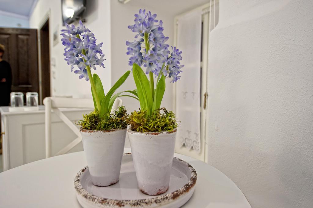Orologopoulos Mansion Luxury Hotel Kastoria Rum bild